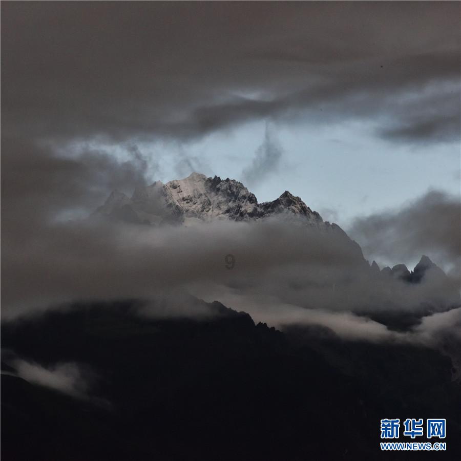 虫虫助手下载